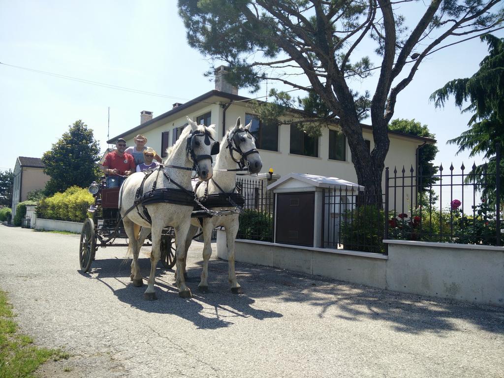 La Siesta Hotel Villafranca di Verona Buitenkant foto