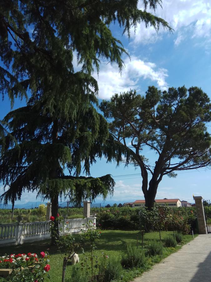 La Siesta Hotel Villafranca di Verona Buitenkant foto