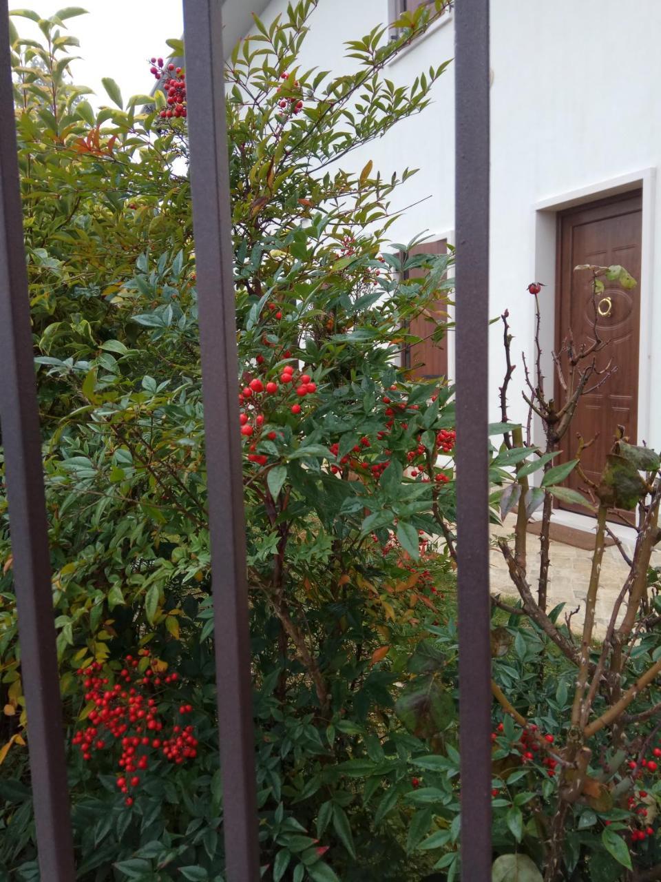 La Siesta Hotel Villafranca di Verona Buitenkant foto